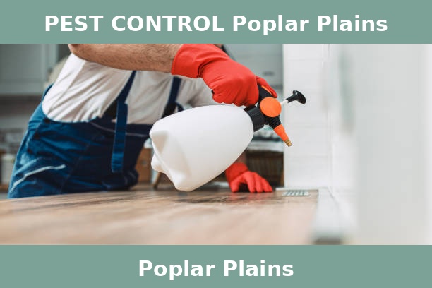 PEST CONTROL Poplar Plains